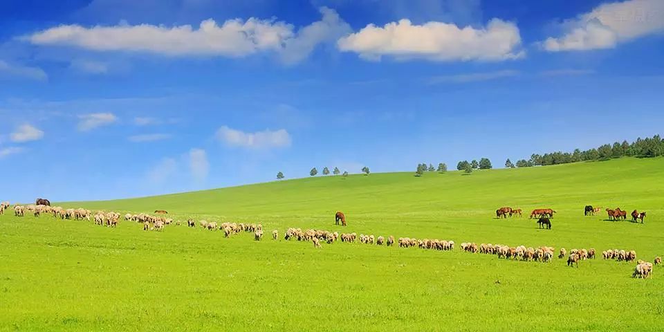 呼伦贝尔，草原之珠，自然魅力的展现